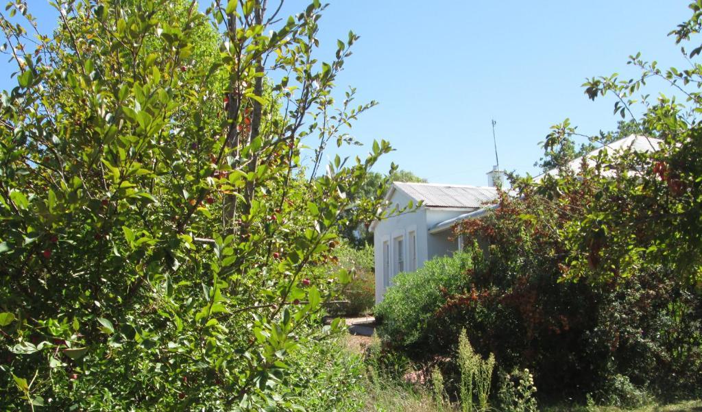 Impangele Guest House Swellendam Chambre photo
