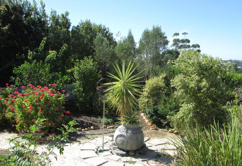 Impangele Guest House Swellendam Extérieur photo